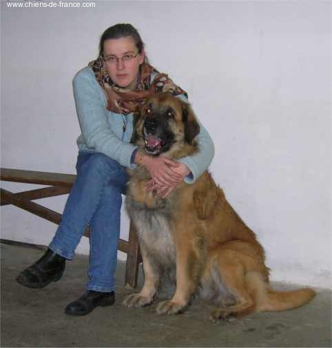 Luzna magic du Bouc D'Or