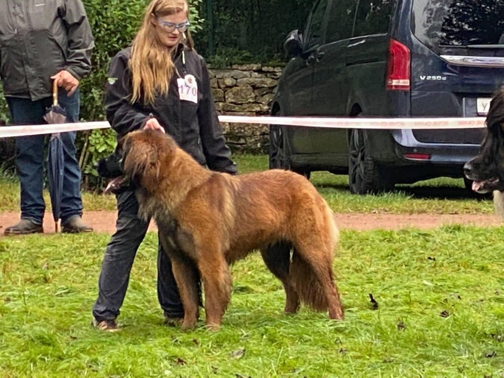 Promesse vivalavida du Bouc D'Or