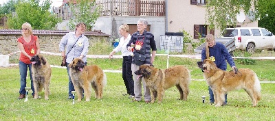 du Bouc D'Or - Suarce 2013